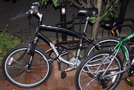 bike_jan.jpg (46181 Byte)