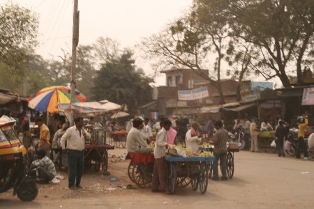 india1.jpg (45390 Byte)